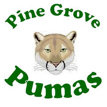 Pine Grove Public School
